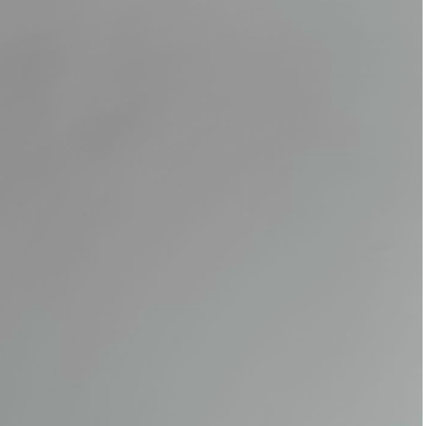 ERVA-LAMINANT Model 4
